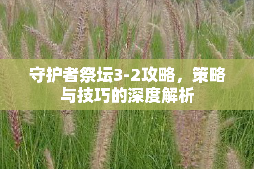 策略与技巧的深度解析图片