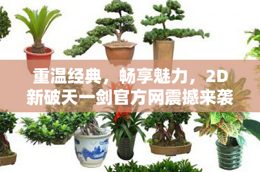2D新破天一剑官方网震撼来袭图片