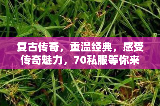 70私服等你来战图片