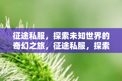 征途私服,探索未知世界的奇幻之旅,征途私服,探索未知世界的奇幻之旅 征途私服,探索未知世界的奇幻之旅,征途私服,探索未知世界的奇幻之旅