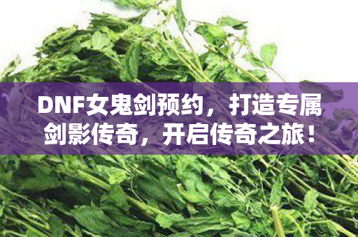 DNF女鬼剑预约图片