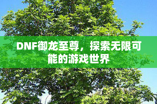 探索无限可能的游戏世界图片