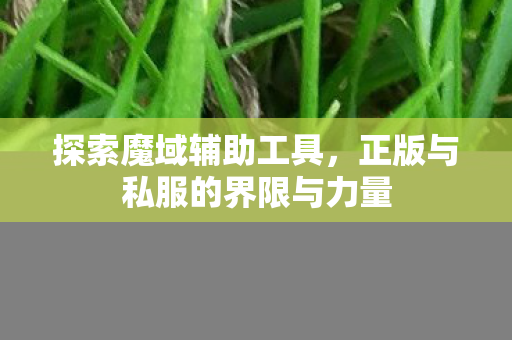 正版与私服的界限与力量图片