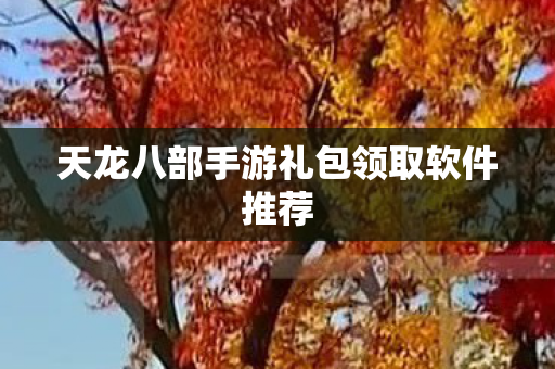 天龙八部手游礼包领取软件推荐图片