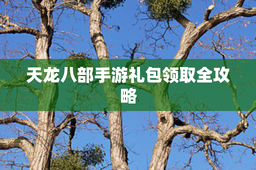 天龙八部手游礼包领取全攻略图片