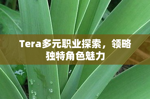 Tera多元职业探索图片