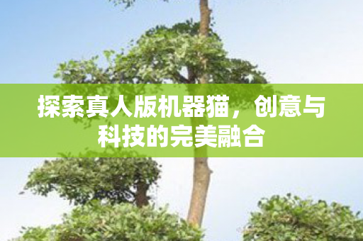 创意与科技的完美融合图片