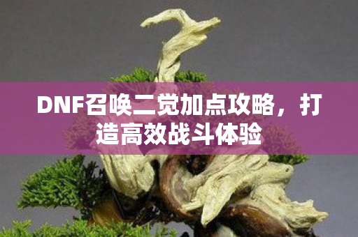 DNF召唤二觉加点攻略图片