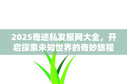 2025奇迹私发服网大全,开启探索未知世界的奇妙旅程 2025奇迹私发服网大全,开启探索未知世界的奇妙旅程