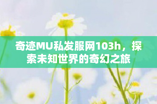 奇迹MU私发服网103h,探索未知世界的奇幻之旅 奇迹MU私发服网103h,探索未知世界的奇幻之旅