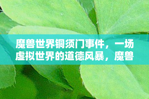一场虚拟世界的道德风暴图片