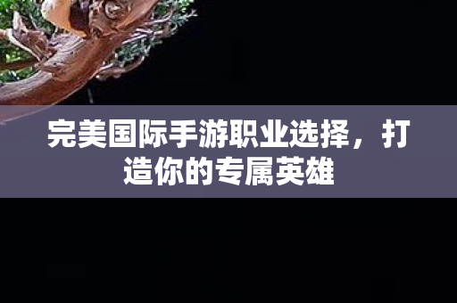 完美国际手游职业选择图片