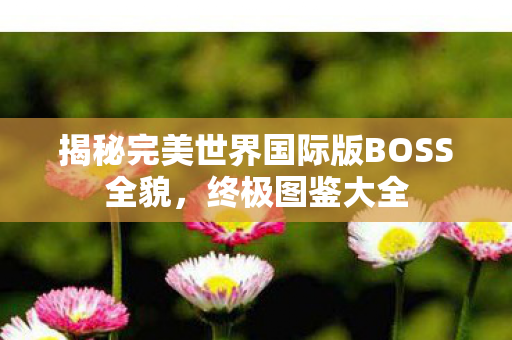 揭秘完美世界国际版BOSS全貌图片