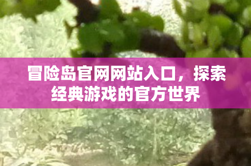 探索经典游戏的官方世界图片