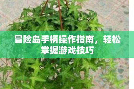 冒险岛手柄操作指南图片
