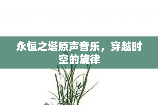 永恒之塔原声音乐图片