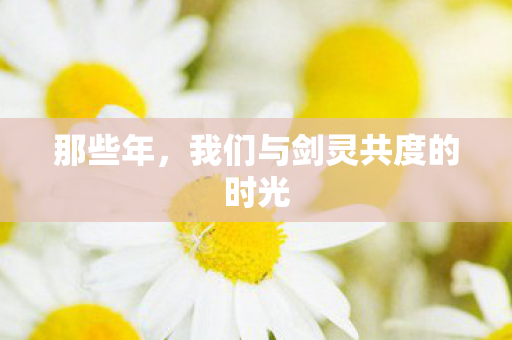 我们与剑灵共度的时光图片