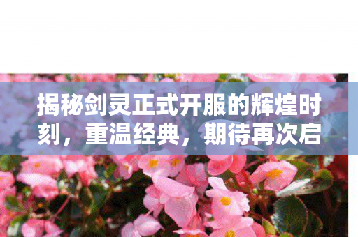 揭秘剑灵正式开服的辉煌时刻图片
