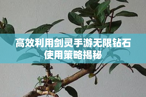 高效利用剑灵手游无限钻石使用策略揭秘图片
