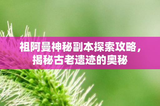 祖阿曼神秘副本探索攻略图片