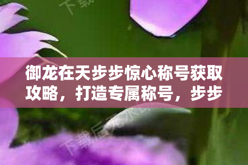 御龙在天步步惊心称号获取攻略图片