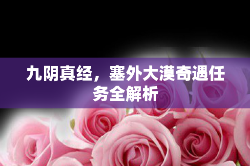 塞外大漠奇遇任务全解析图片
