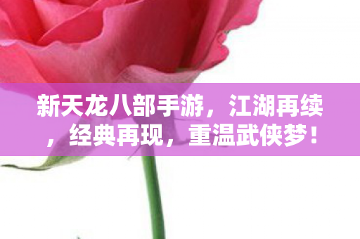 新天龙八部手游图片