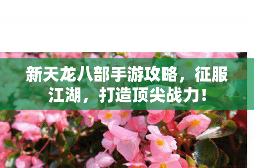 新天龙八部手游攻略图片