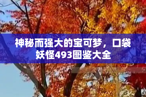 口袋妖怪493图鉴大全图片