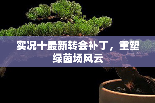 实况十最新转会补丁图片