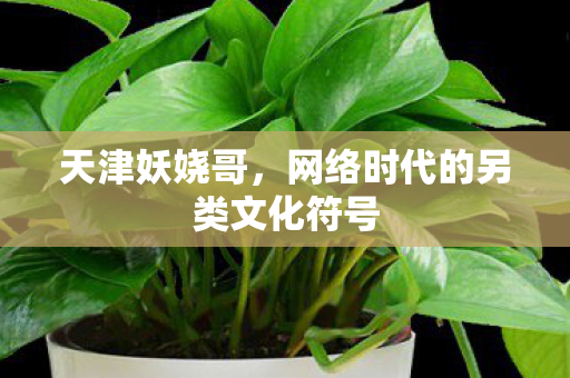 网络时代的另类文化符号图片