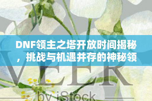 DNF领主之塔开放时间揭秘图片