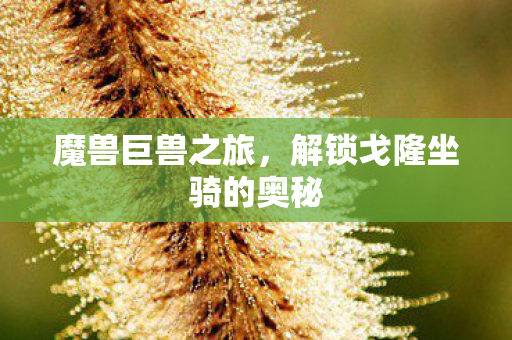 解锁戈隆坐骑的奥秘图片