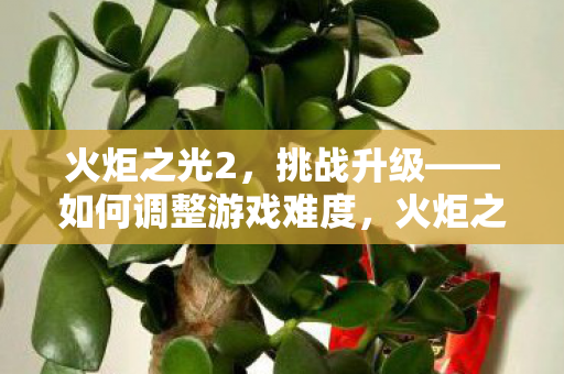 火炬之光2挑战升级图片