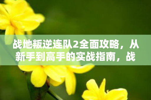 战地叛逆连队2全面攻略图片