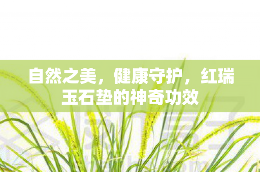 红瑞玉石垫的神奇功效图片