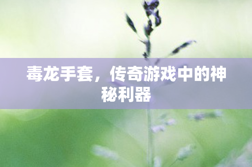 传奇游戏中的神秘利器图片