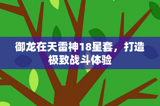 御龙在天雷神18星套图片