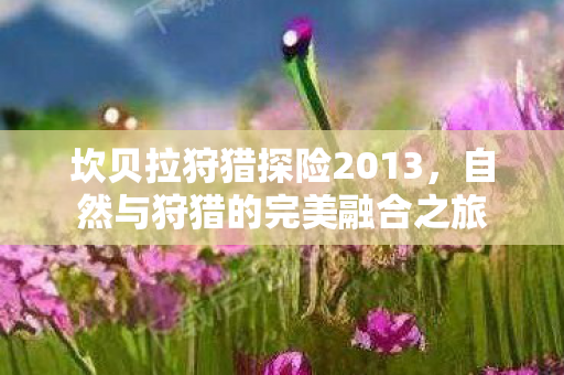 自然与狩猎的完美融合之旅图片