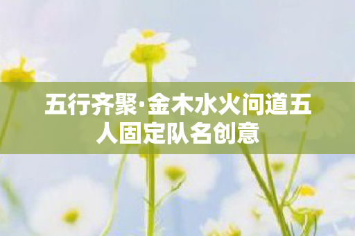 金木水火问道五人固定队名创意图片