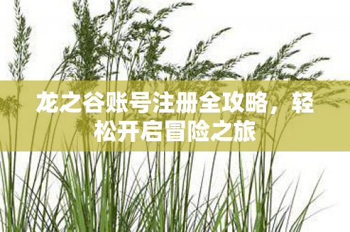 龙之谷账号注册全攻略图片