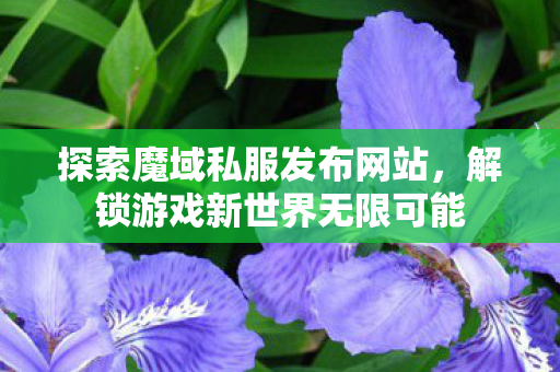 解锁游戏新世界无限可能图片