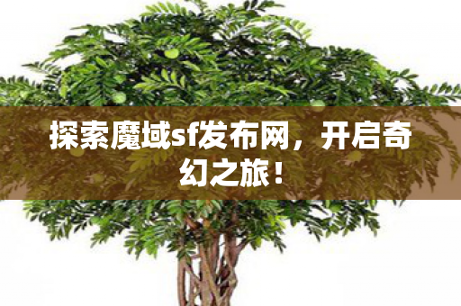 探索魔域sf发布网图片