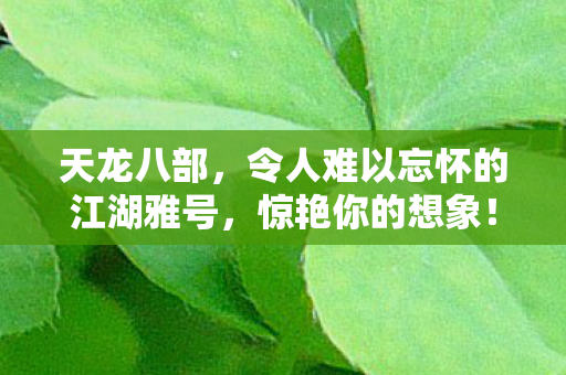 令人难以忘怀的江湖雅号图片