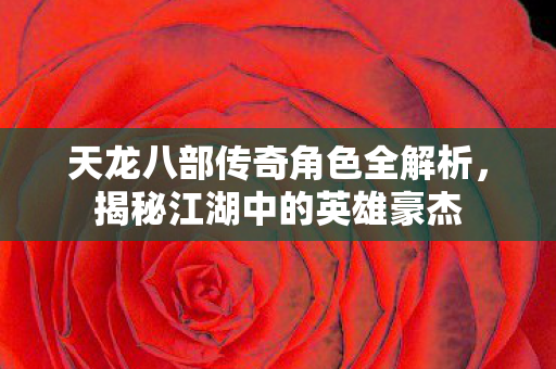 天龙八部传奇角色全解析图片