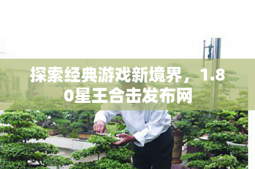 探索经典游戏新境界图片