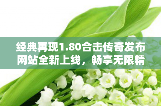 80合击传奇发布网站全新上线图片