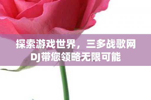 三多战歌网DJ带您领略无限可能图片