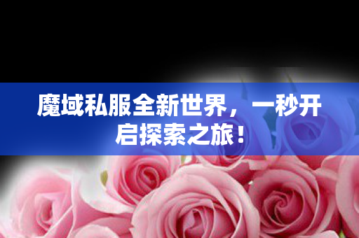 魔域私服全新世界图片