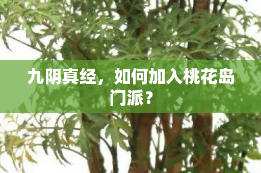 如何加入桃花岛门派图片